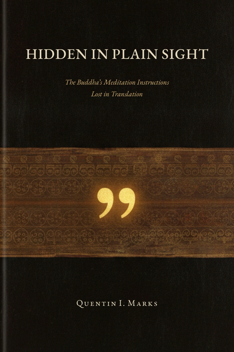 Hidden in Plain Sight book cover